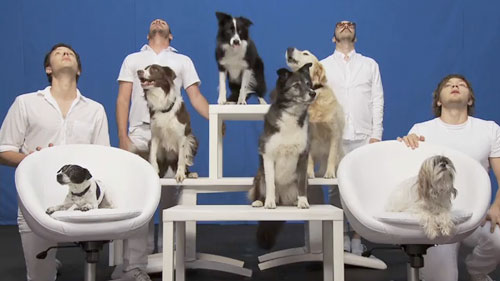 OK Go - White Knuckles music video