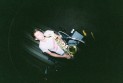 Nick016-R1-054-25A