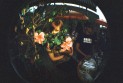 Nick016-R9-E291