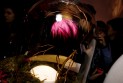 20090213_2421