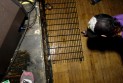 20090310_8643