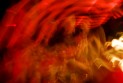 20090415_8478
