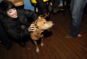 20101204_8324
