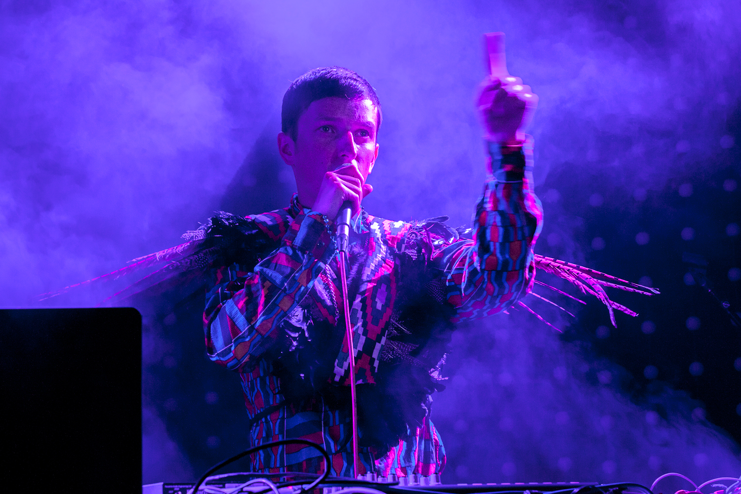 Totally Enormous Extinct Dinosaurs (TEED)