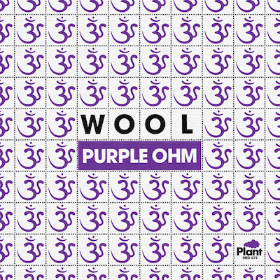 FULL ALBUM STREAM: Wool – ‘Purple Ohm’ EP